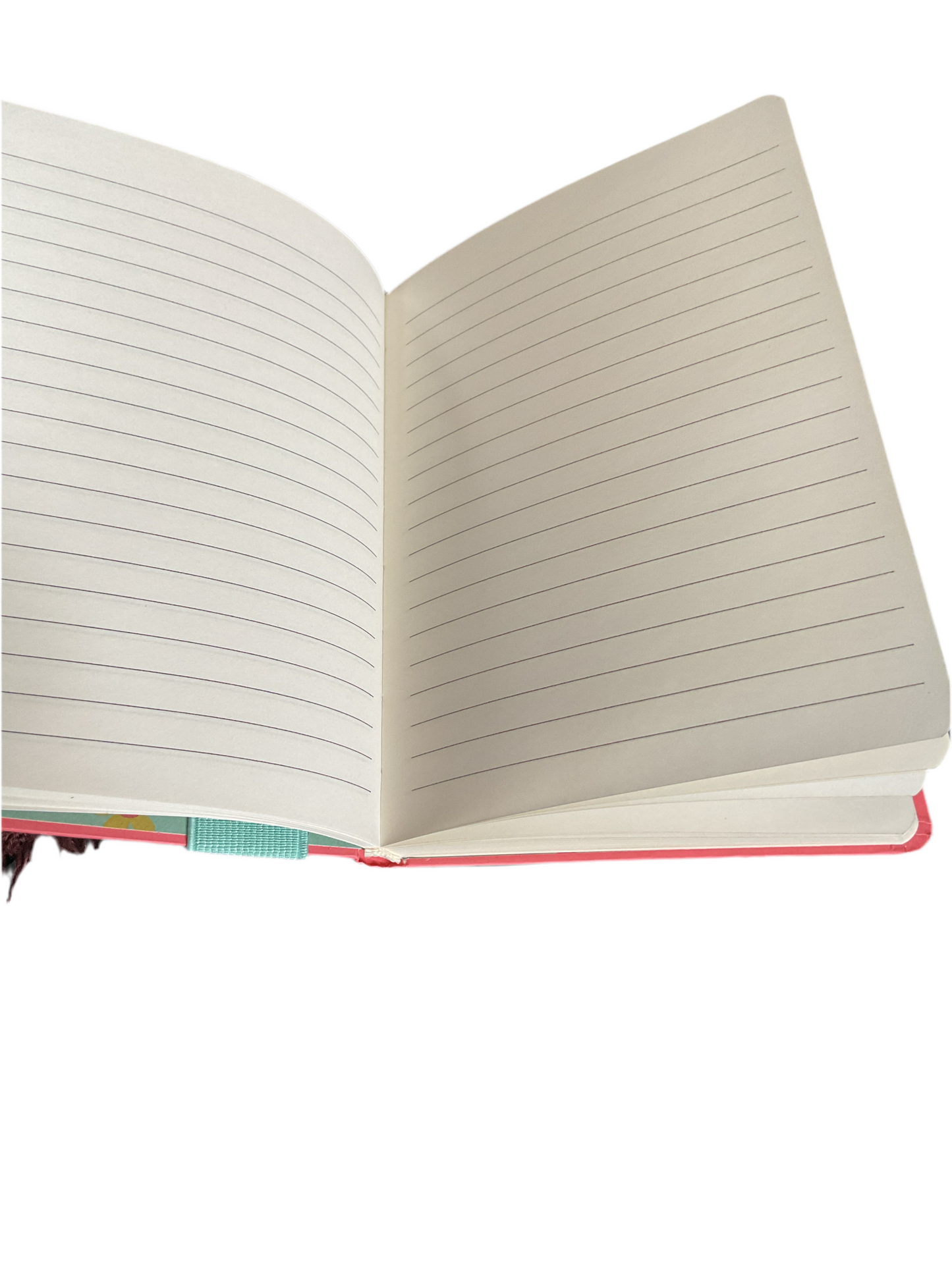 Notebooks with pen and pouch