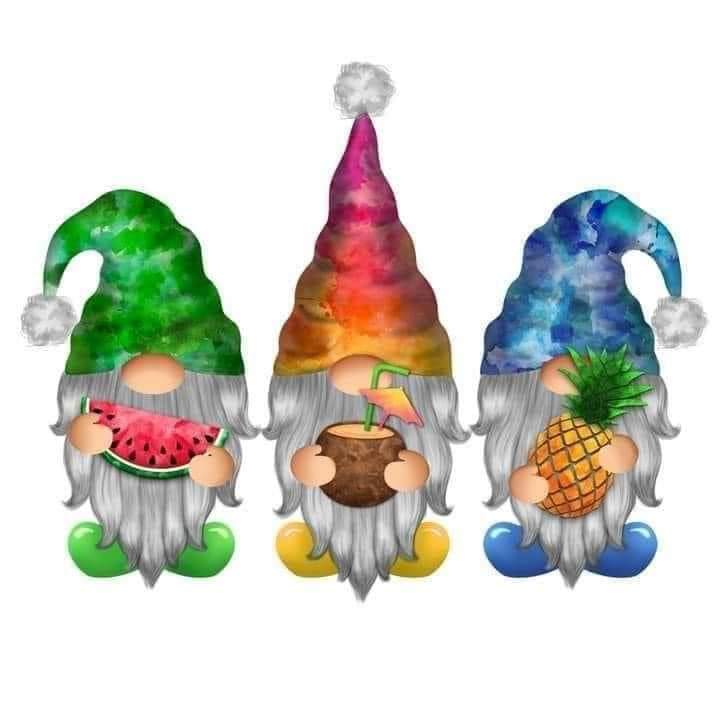 DTFs (direct to Film) Transfers (Gnomes 3 enjoying summer fun)